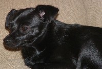 DSCF0038.JPG