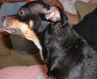 DSCF0003.JPG