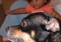 DSCF0003a.jpg