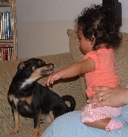 DSCF0012.JPG