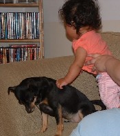 DSCF0015.JPG