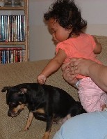 DSCF0016.JPG