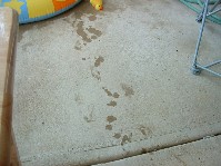 DSCF0096.JPG