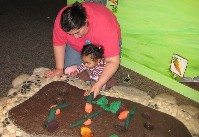 IMG_0038.jpg
