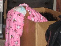 IMG_0104.jpg