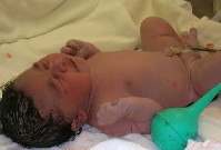DSCN0740.JPG
