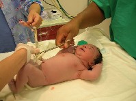 DSCN0744.JPG