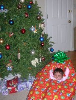 DSCN1086.JPG