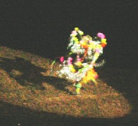 DSCN1192.JPG
