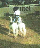 DSCN1203.JPG