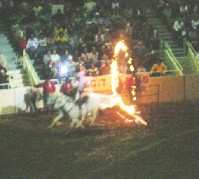 DSCN1204.JPG