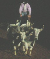 DSCN1222.JPG