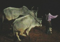 DSCN1226.JPG