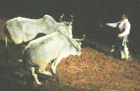 DSCN1227.JPG
