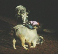DSCN1228.JPG