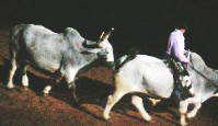 DSCN1229.JPG