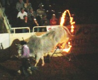 DSCN1233.JPG