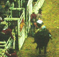 DSCN1245.JPG