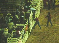 DSCN1248.JPG