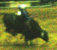DSCN1250.JPG