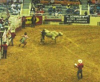 DSCN1256.JPG