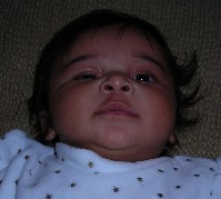DSCN0073.JPG
