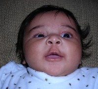 DSCN0076.JPG