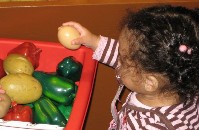IMG_0024.jpg