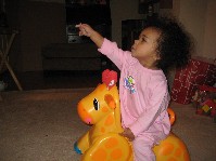 IMG_0100.jpg