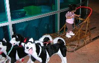 DSCN2665.JPG