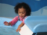 IMG_0231.jpg