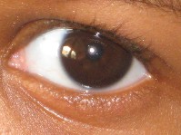 IMG_0336.jpg
