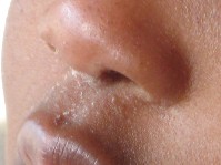 IMG_0337.jpg