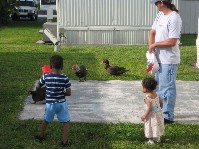 IMG_0345.jpg