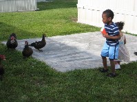 IMG_0346.jpg