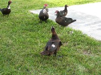 IMG_0347.jpg