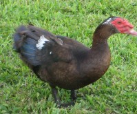 IMG_0357.jpg