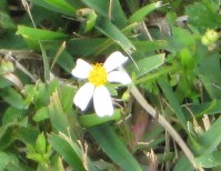 IMG_0368.jpg
