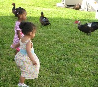 IMG_0378.jpg