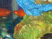 IMG_0416.jpg