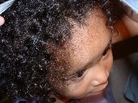 DSCF0058.JPG