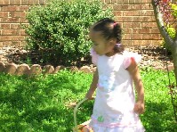 DSCN2954a.jpg
