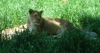 DSCN2968a.jpg