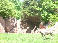 DSCN2969a.jpg