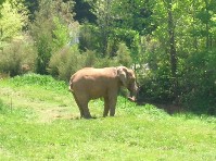 DSCN2979a.jpg