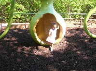 DSCN2980a.jpg