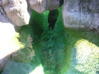 DSCN2984a.jpg