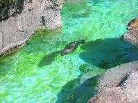 DSCN2985a.jpg