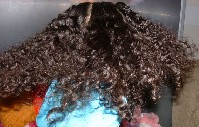braid025.jpg