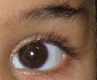 IMG_0019eye.jpg